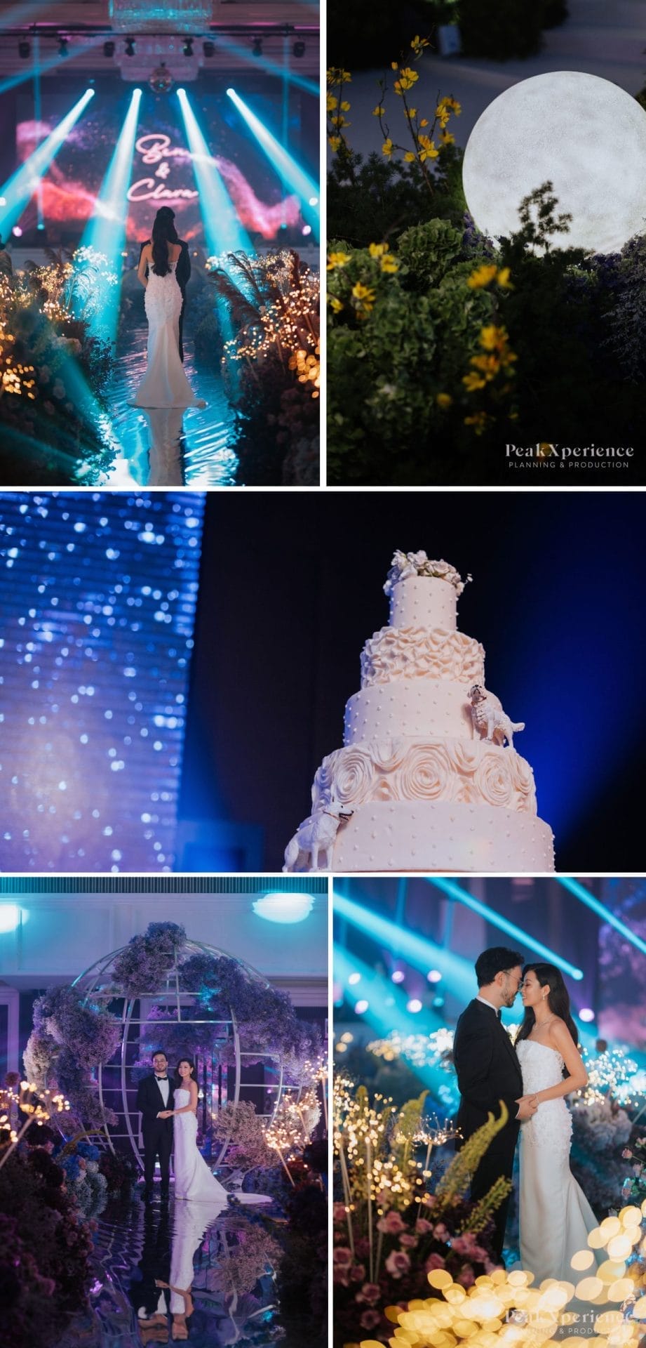 Galaxy themed wedding