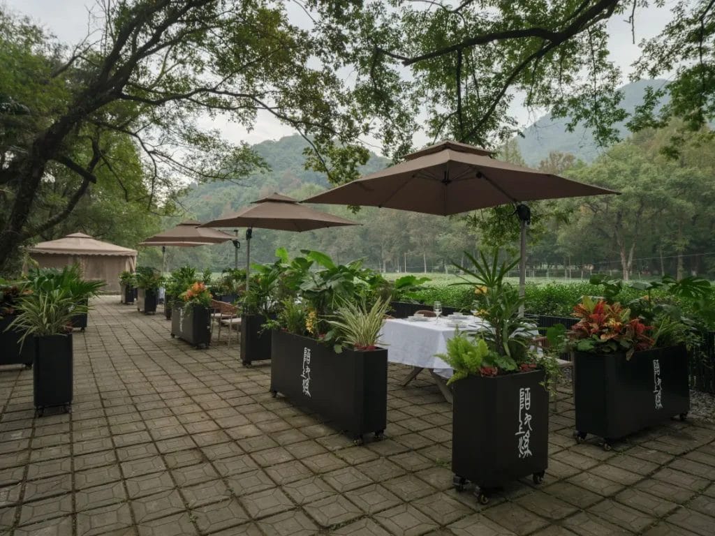 陌上久溪民宿 Moshang Jiuxi Homestay
