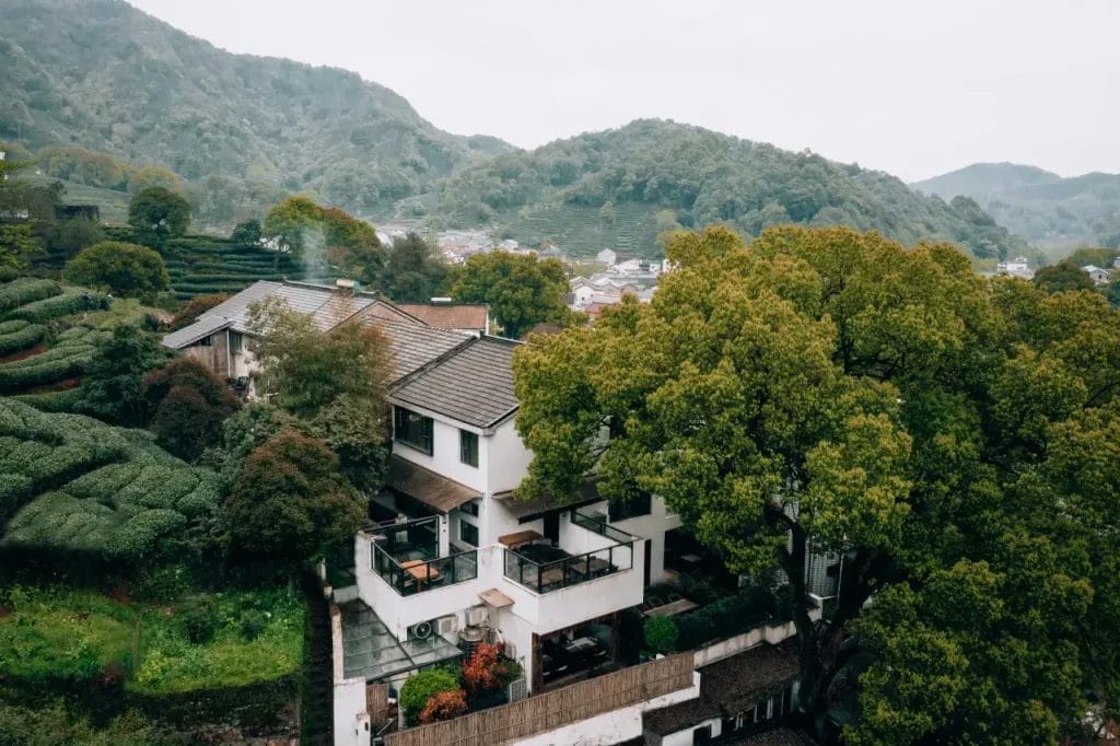  Lionhill Green Teavilla Private Hotel Hangzhou